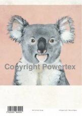 A4 powerprint koala