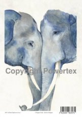 A4 powerprint papier blauwe olifanten