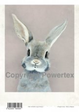 A4 powerprint papier konijn