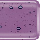 Baoli violet transparant klein
