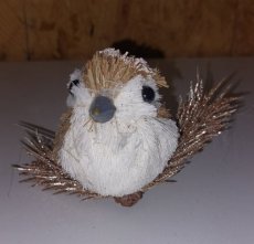 Vogel op dennentak Vogel op dennentak