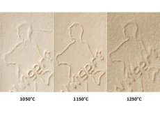 Witgert draaiklei 11 SF02 Witgert draaiklei 11 SF02