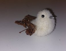 Witte vogel Witte vogel